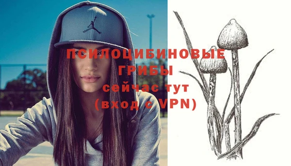 круглые Арсеньев