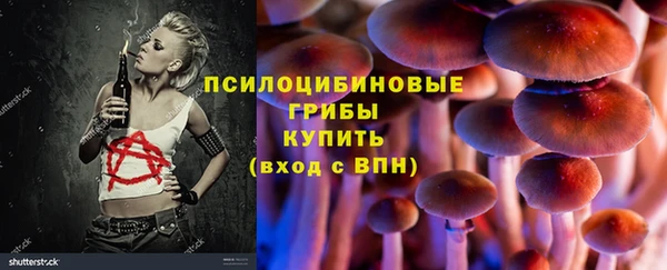 ECSTASY Аркадак