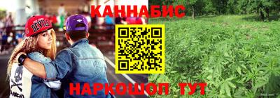 сатива Малоярославец