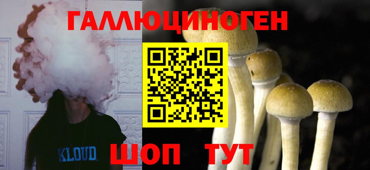 Барабинск  Псилоцибиновые грибы MAGIC MUSHROOMS  Вход с VPN 
